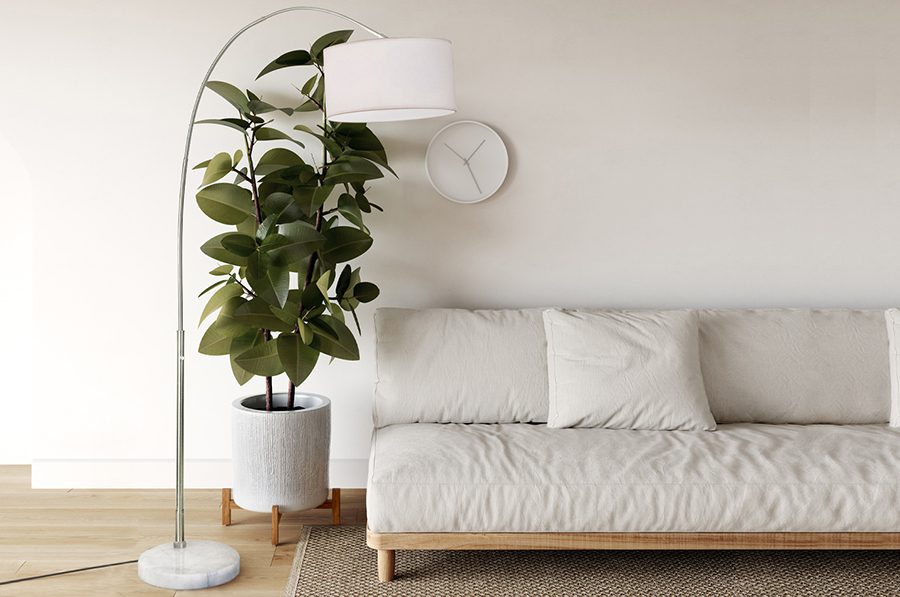 imgpsh_fullsize_anim